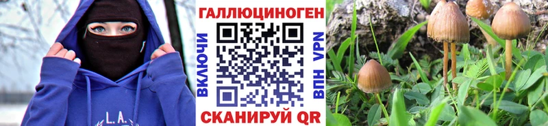 mega ONION Углегорск Галлюциногенные грибы MAGIC MUSHROOMS